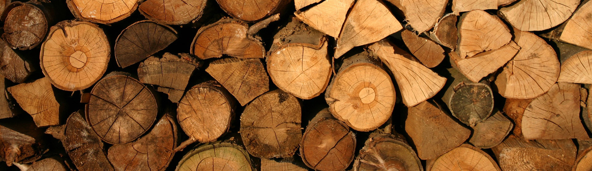 Firewood