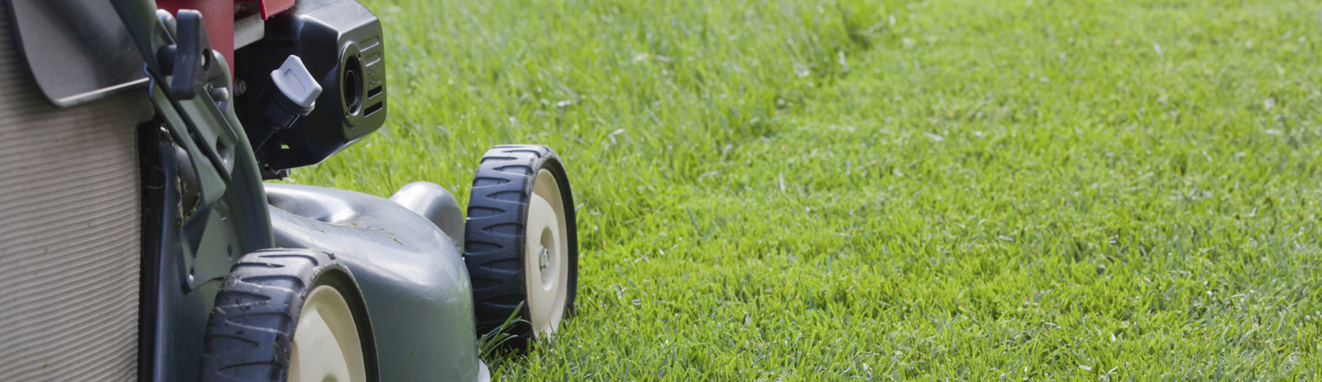 Lawn Mowing